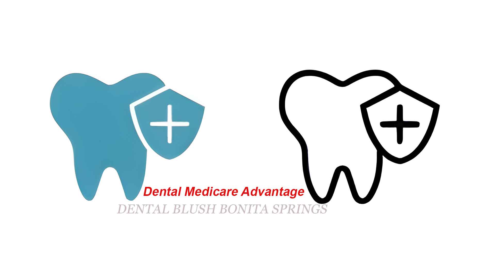 Dental Medicare Advantage in Bonita Springs
