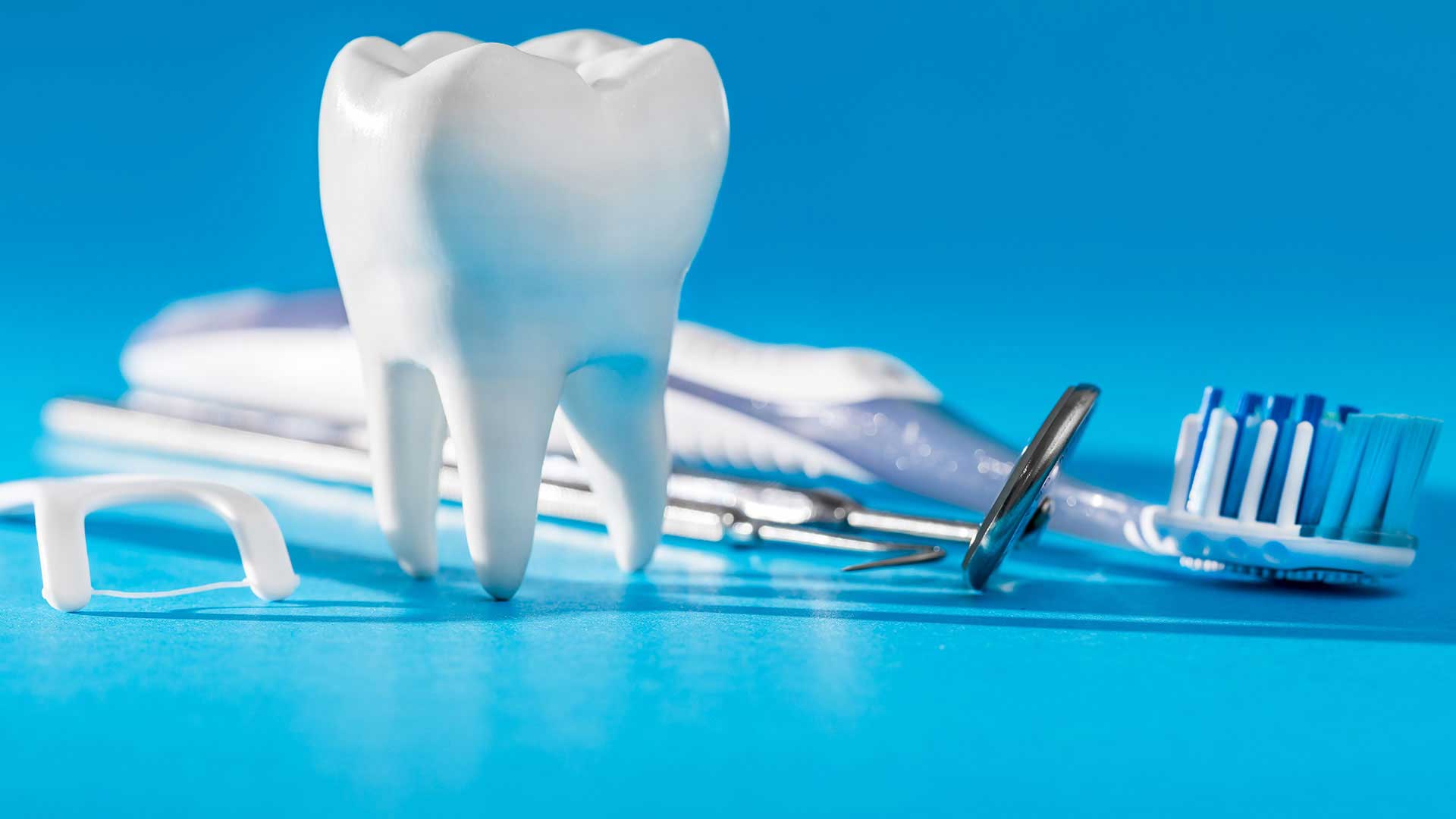 Preventive Dental Care and Gum Health Tooth model and dental tools representing preventive dental care