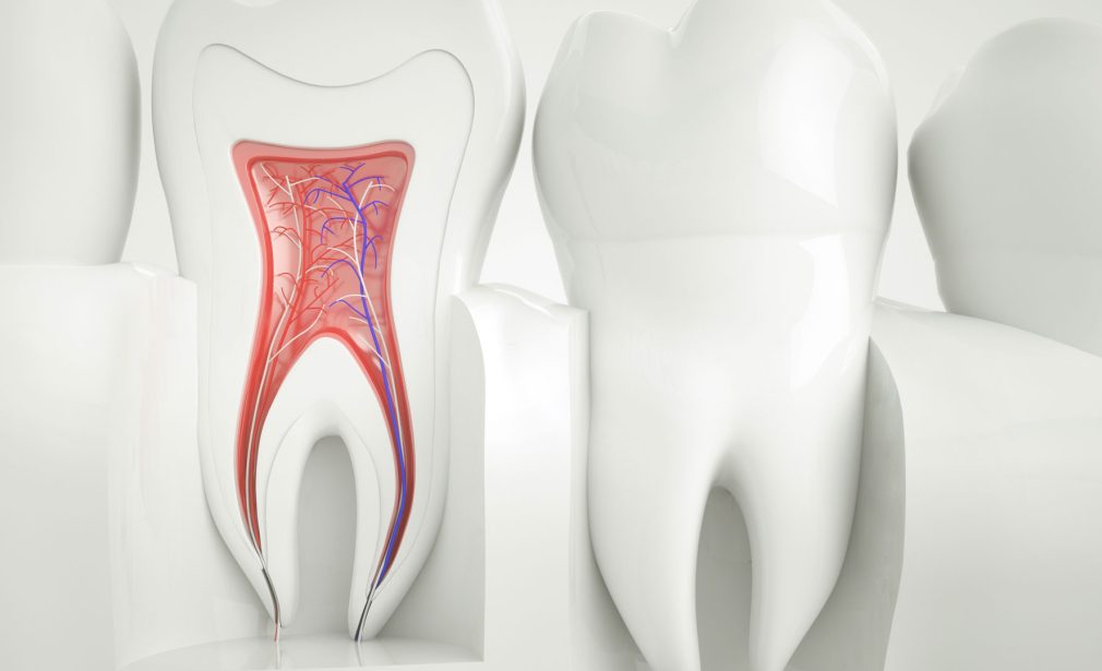 Restored tooth after root canal – Dental Blush Cape Coral